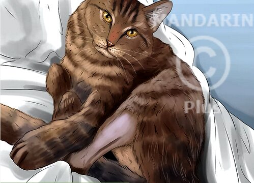 шерсть кошки